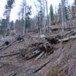View album