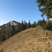 View album