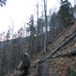 View album