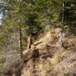 View album