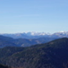 View album