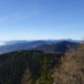 View album