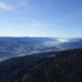 View album