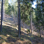 View album