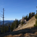 View album