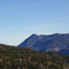 View album