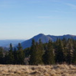 View album