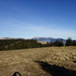 View album