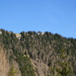 View album