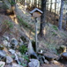 View album