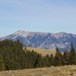 View album