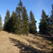 View album