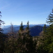 View album