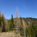 View album