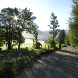 View album View album