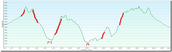SchoderlehProfileRed
