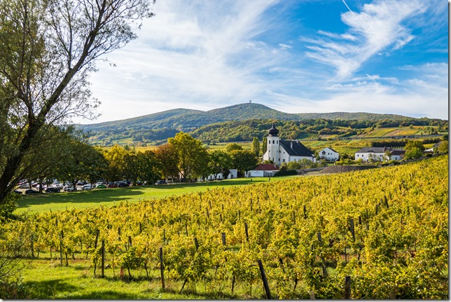 DSC05685