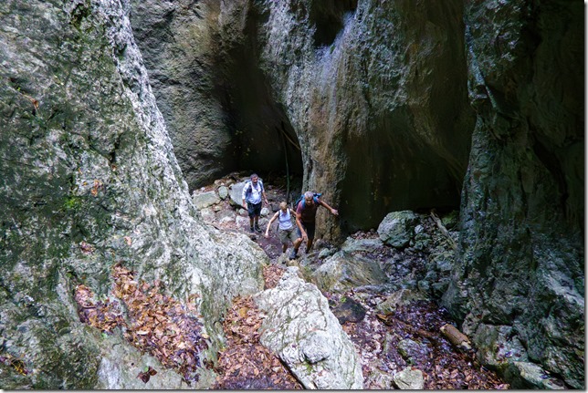 DSC00652-Verbessert-RR