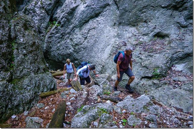 DSC00662-Verbessert-RR