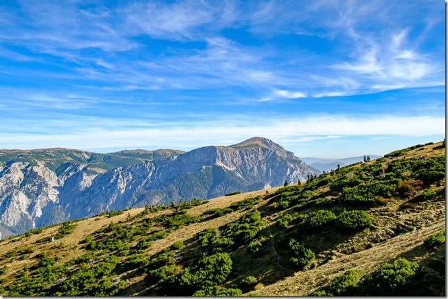 DSCF0445-Verbessert-RR