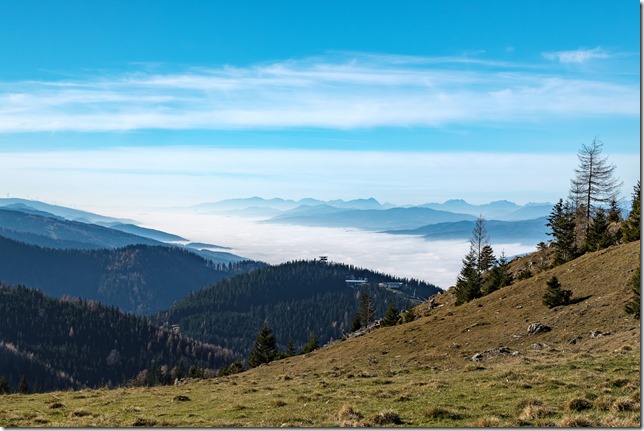 DSCF0646-Verbessert-RR