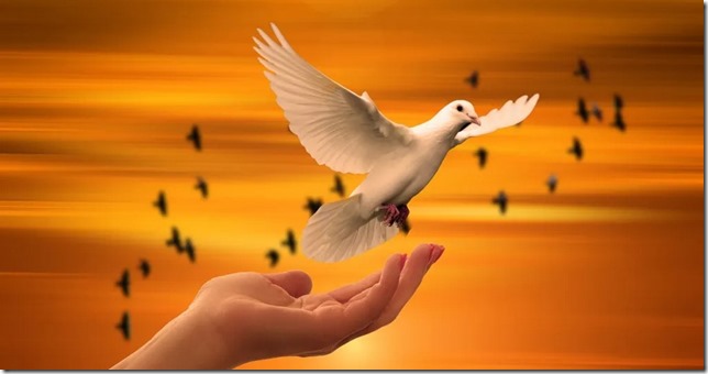 DovePeace