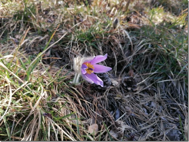 photo_2026-03-12_17-02-56