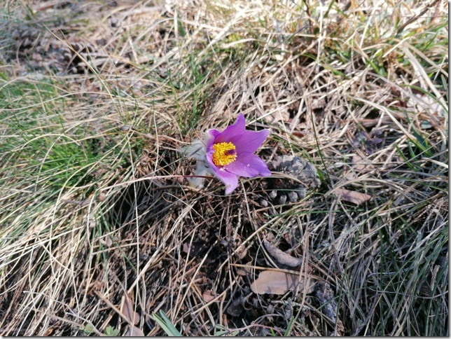 photo_2026-03-12_17-03-02