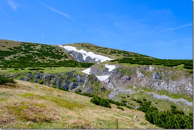DSCF1357