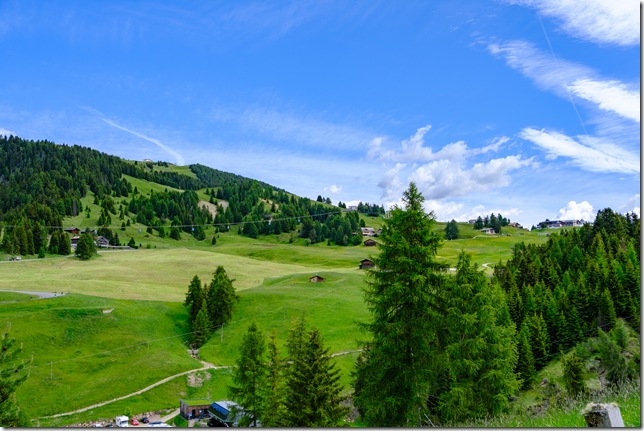 DSCF1441