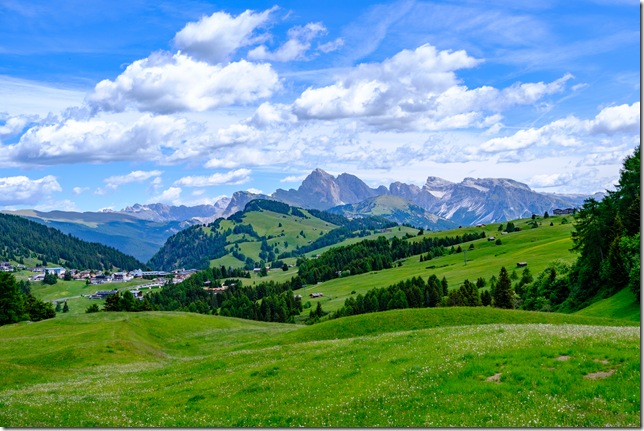 DSCF1475