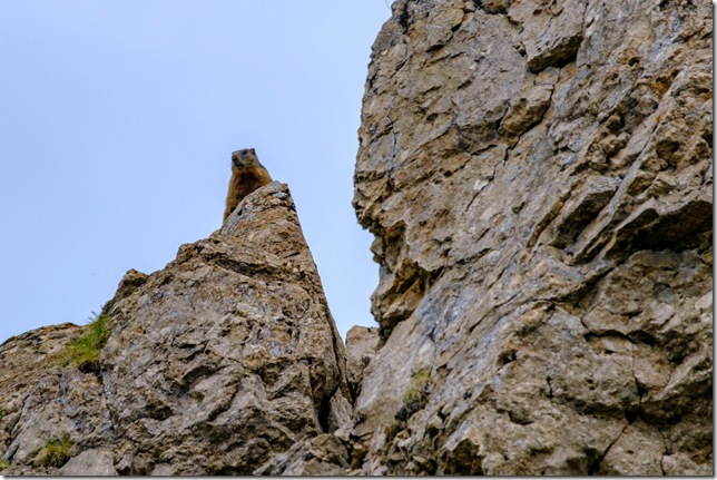 DSCF1746