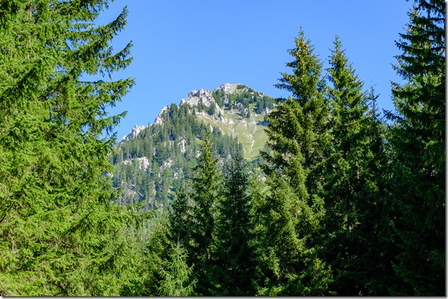 DSCF2164