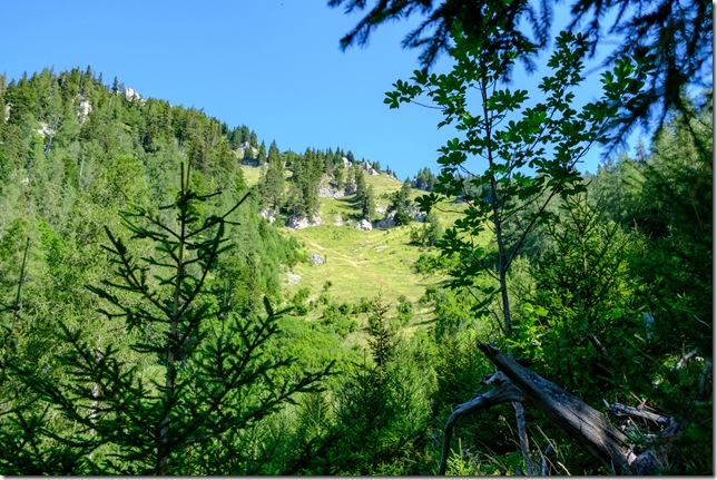 DSCF2169