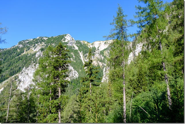 DSCF2171