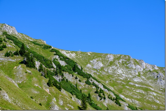 DSCF2187
