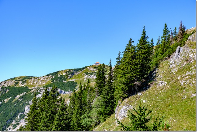 DSCF2201