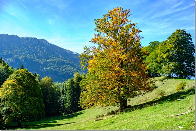 DSCF2632