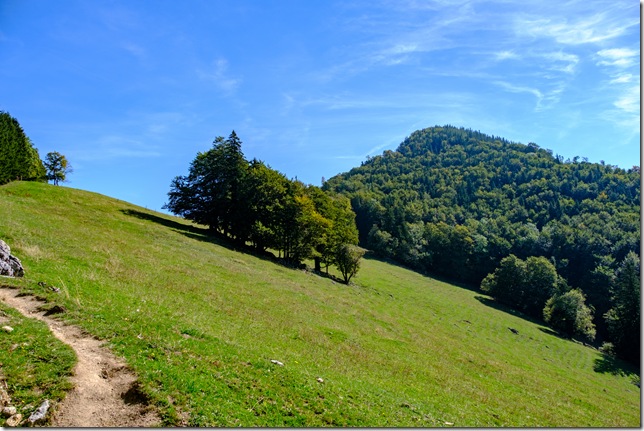 DSCF2652