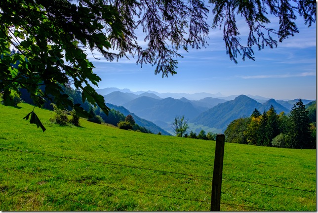 DSCF2720
