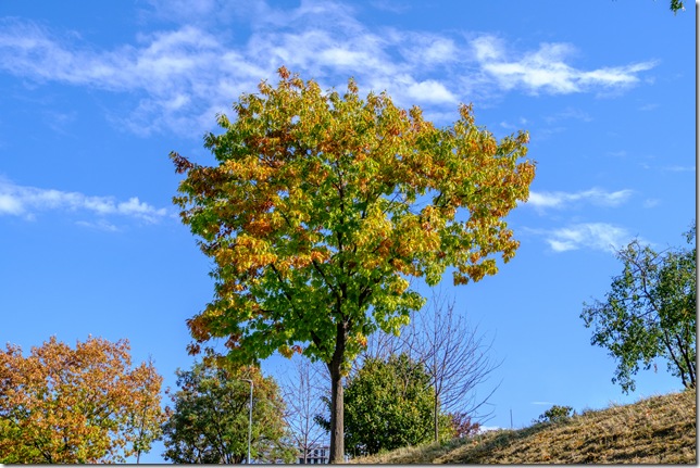 DSCF2753