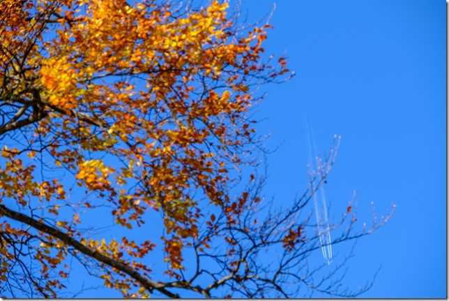 DSCF3024