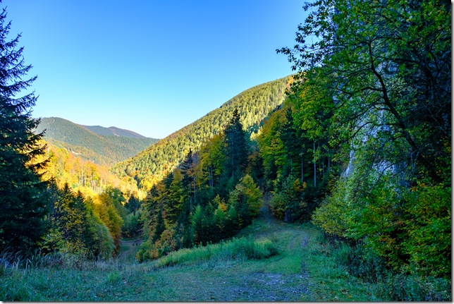 DSCF3162